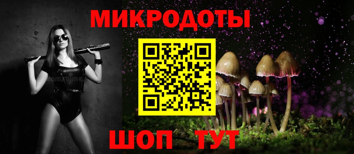 Псилоцибиновые грибы Psilocybe  Вход с VPN  где купить наркоту  Гусев 